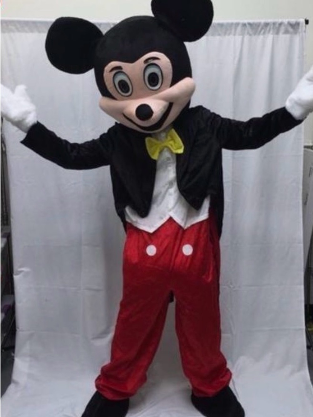 Mickey Mouse Mascot Costume-  Classic Character Costume